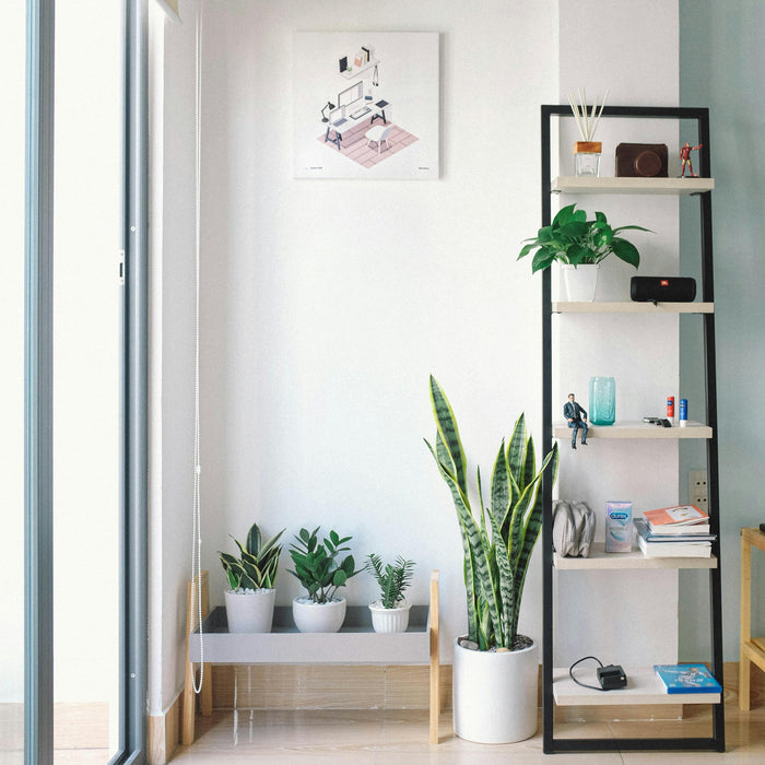 Home with hard to reach areas perfect for Zoomgoods vacuum cleaners to clean