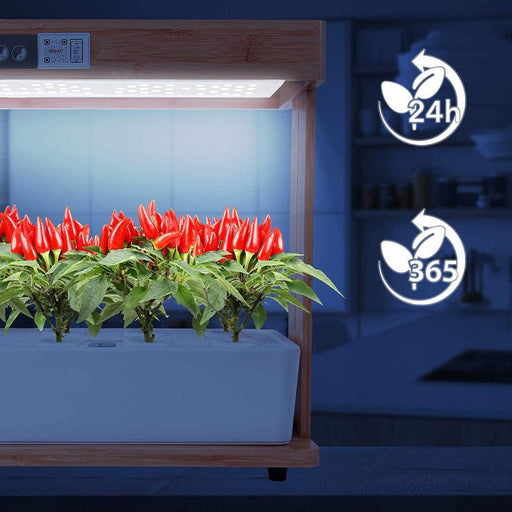 Zoomgoods Hydroponic Growing System GHS48 | Indoor Garden Box with Grow Lamp for 8 Plants or Herbs | 100x LED Spectrum Bulbs: White, Red & Blue| 3 Light/Growth Modes | Smart Germination Kit | 30W
