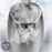 Zoomgoods EK43 stainless steel kettle with temperature control and a removable filter for easy cleaning, enhanced water quality and better-tasting drinks every time