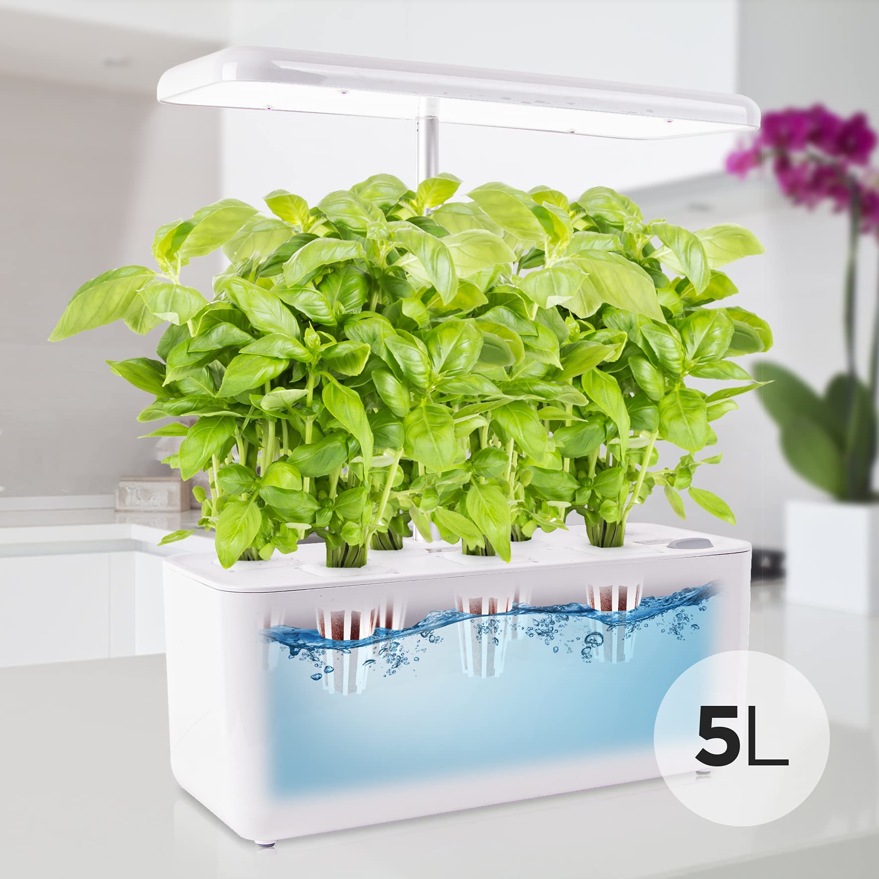 Zoomgoods Hydroponic Growing System GHS37 | Indoor Garden Box with Grow Lamp for 7 Plants or Herbs |70x LED Spectrum Bulbs: White, Red & Blue| 3 Light/Growth Modes | Smart Germination Kit | 25W