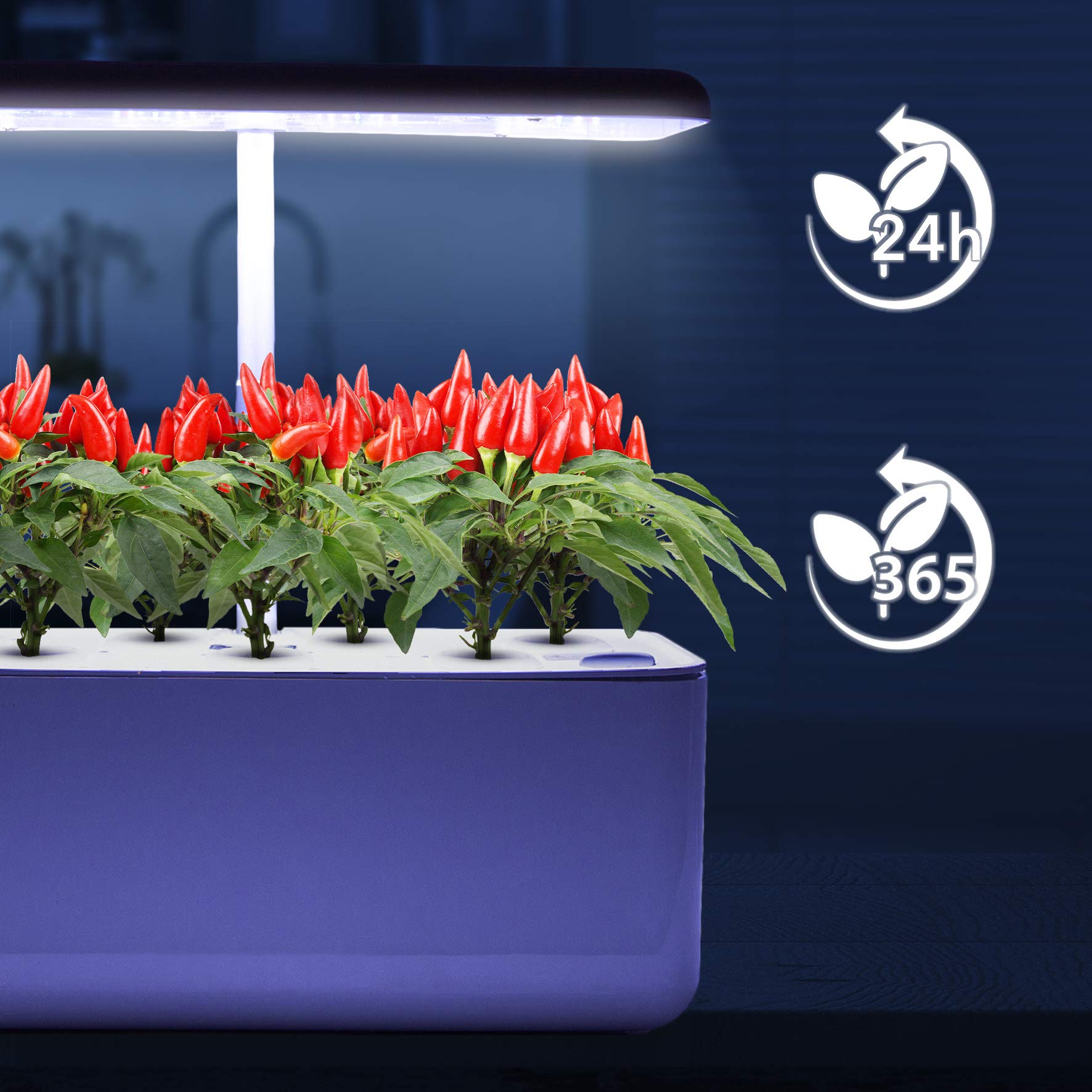 Zoomgoods Hydroponic Growing System GHS37 | Indoor Garden Box with Grow Lamp for 7 Plants or Herbs |70x LED Spectrum Bulbs: White, Red & Blue| 3 Light/Growth Modes | Smart Germination Kit | 25W