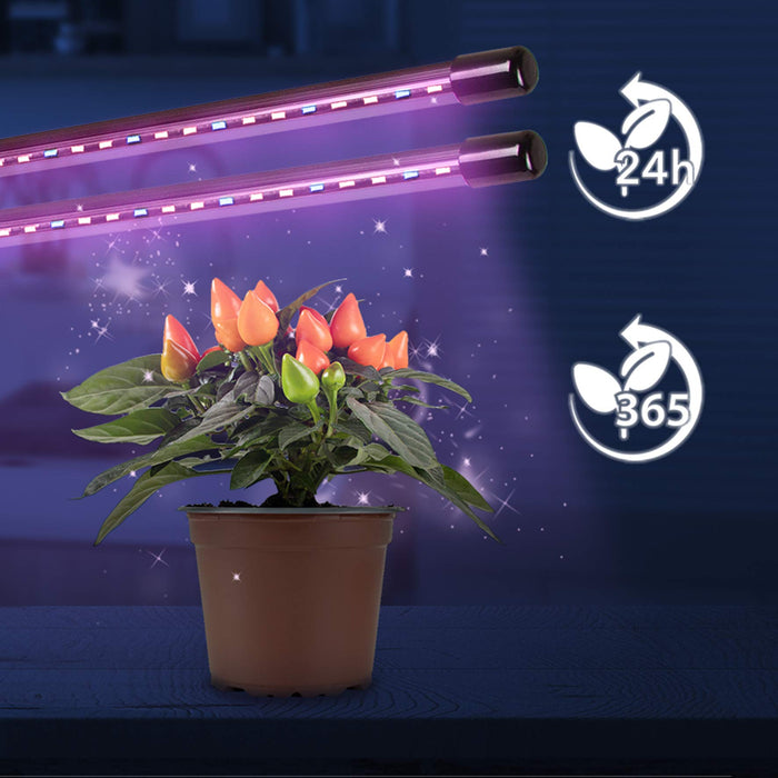Zoomgoods Grow Light GLC24 | Double Clip-On Lamp for Indoor Plants | Full Spectrum 36x Red & Blue LED Bulbs | 3 Colour Modes | 2 Heads with Adjustable Goosenecks | 40W | Dimmable 6x Brightness Levels