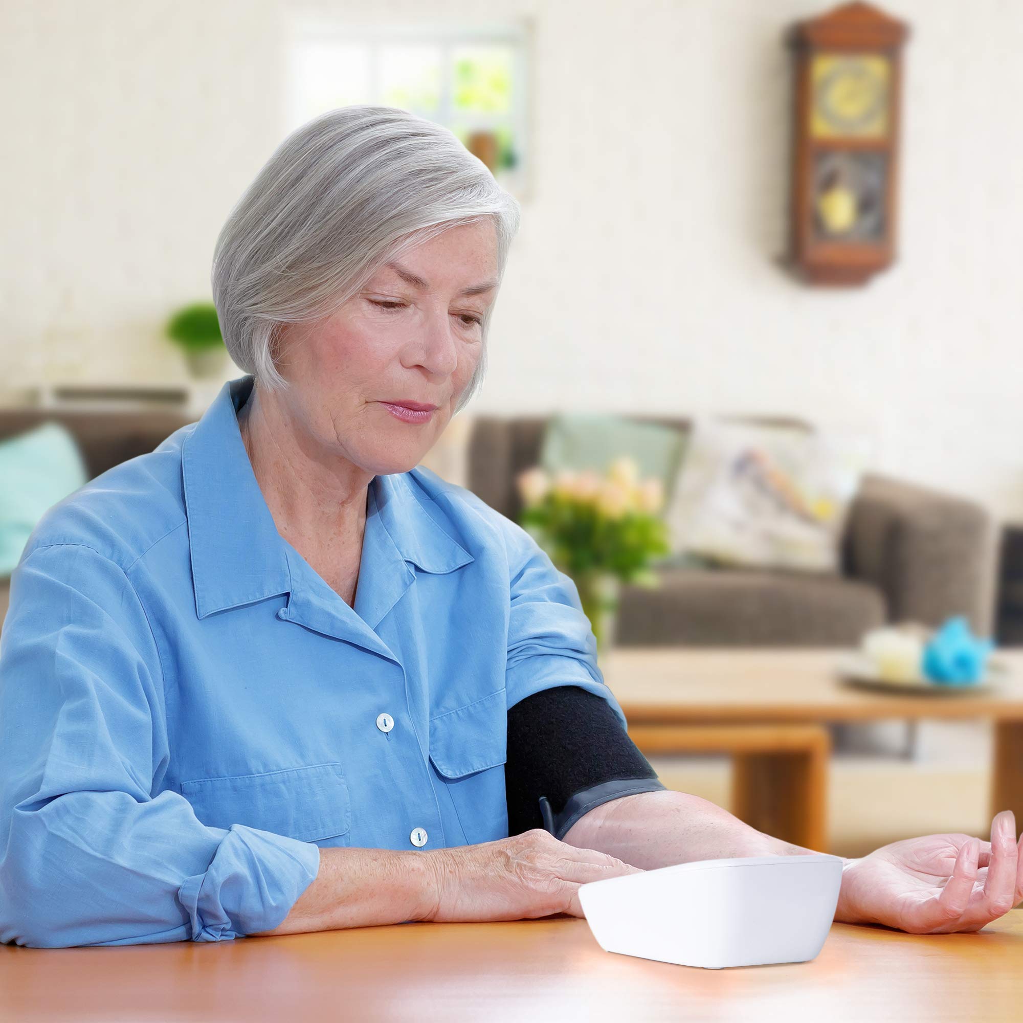 Zoomgoods Blood Pressure Monitor BPM200 CE Approved and Medically Certified Automatic Upper Arm Monitor 2 user 99 Record Memory for Accurate Home use