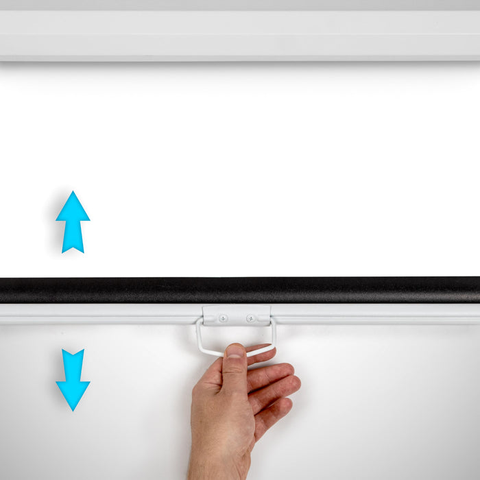 Zoomgoods Projector Screen MPS70 /169 WE, Manual Projection Screens,70” Pull Down Movie Screen, 16:9 Ratio Home Theatre Cinema Screen, Ideal for Home, Classroom, Office Presentations White