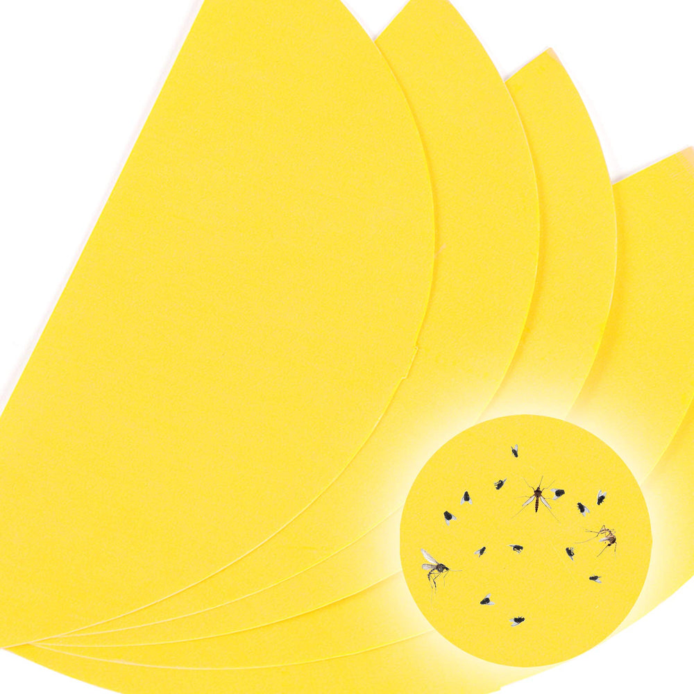 Zoomgoods Glue Board Pack FKWS5 | for Fly Killer Light FKWS18 | Pack of 5 | Replacement Adhesive Pads for UV Wall Sconce | Kills Mosquitoes & Flying Insects | Sticky Glue Traps | Indoor Pest Control