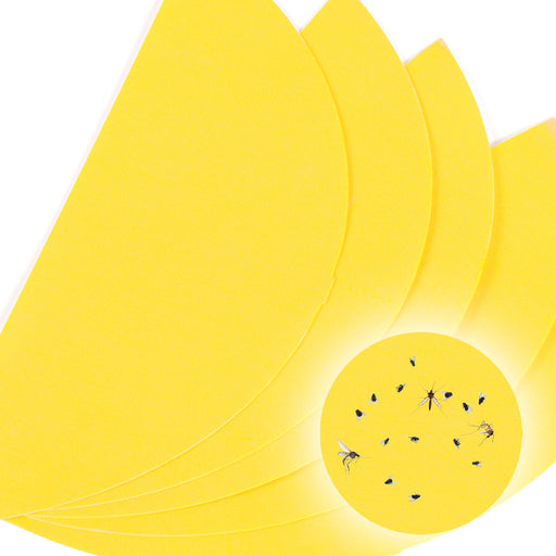 Zoomgoods Glue Board Pack FKWS5 | for Fly Killer Light FKWS18 | Pack of 5 | Replacement Adhesive Pads for UV Wall Sconce | Kills Mosquitoes & Flying Insects | Sticky Glue Traps | Indoor Pest Control