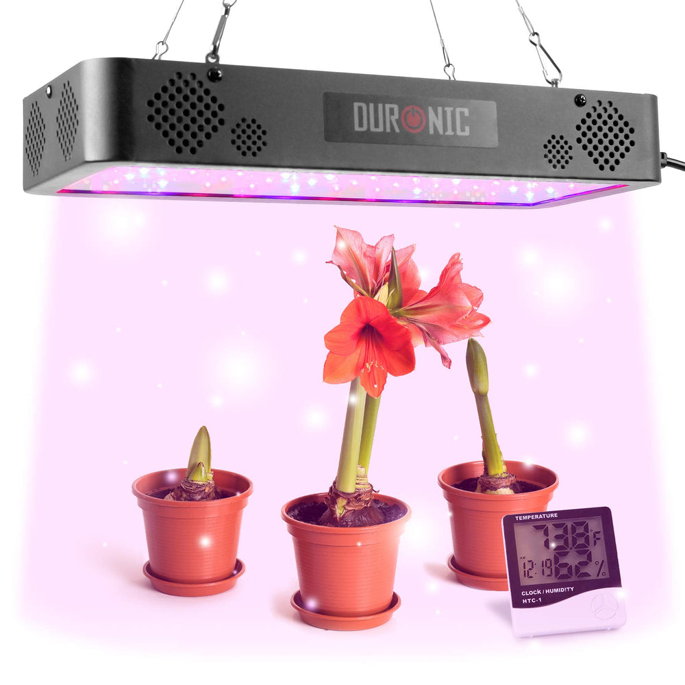 Zoomgoods Hanging Grow Light GLH60 | Indoor Garden Lamp for Plants or Herbs | 60x LED Full Spectrum Bulbs: White, Red & Blue| Double Switch / 2 Modes: Veg & Bloom | Heat Dissipation System | 600W