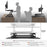 Zoomgoods Sit-Stand Desk DM05D2 | Height Adjustable Office Workstation | 90x59cm Platform | Raises from 14-50cm | Riser for PC Computer Screen, Keyboard, Laptop | Ergonomic Desktop Table Converter