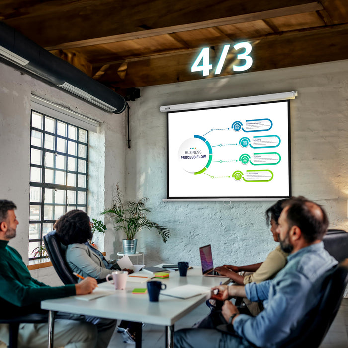 Zoomgoods Projector Screen MPS70 /169 WE, Manual Projection Screens,70” Pull Down Movie Screen, 16:9 Ratio Home Theatre Cinema Screen, Ideal for Home, Classroom, Office Presentations White