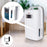 Zoomgoods Dehumidifier DH20 Air Dehumidifier for clothes drying, Black Mould, Damp & Condensation Remover, Wardrobe, Bathroom, Small Bedroom, Utility Room 4L Tank, 20L in a Day