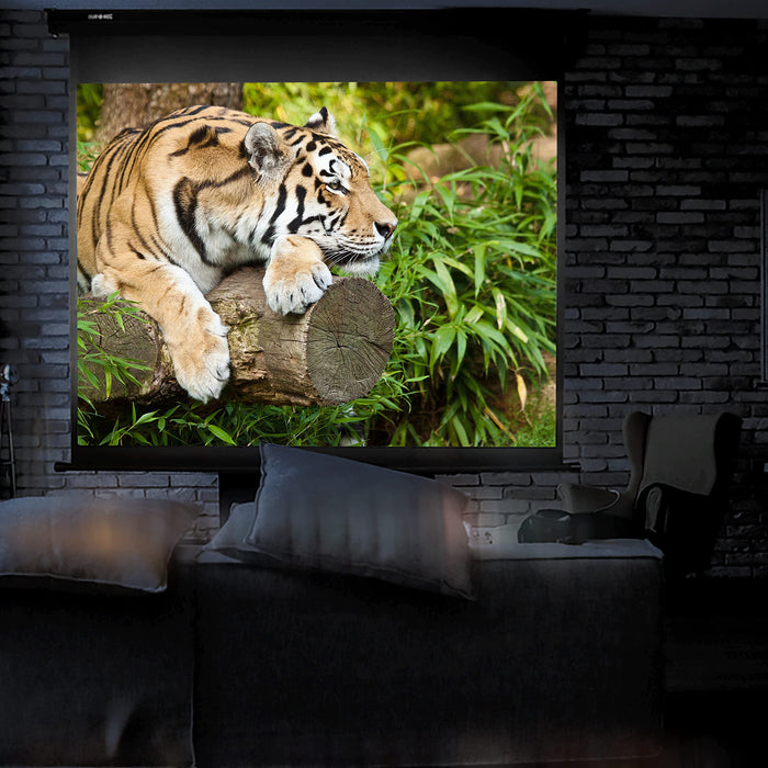 Zoomgoods Projector Screen MPS100 /43, Manual Projection Screens, 100” Pull Down Movie Screen, 4:3 Ratio Home Theatre Cinema Screen, Ideal for Home, Classroom, Office Presentations