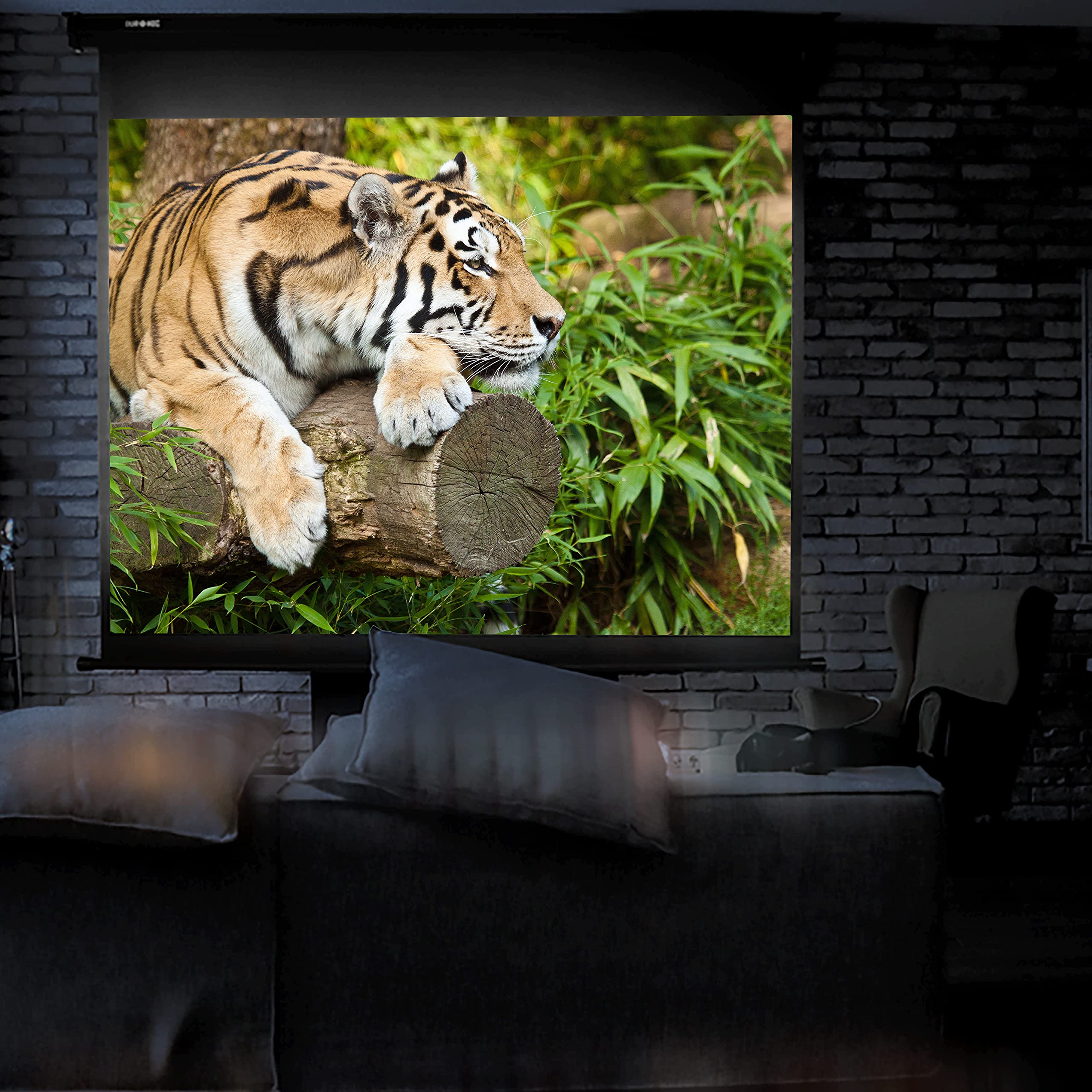 Zoomgoods Projector Screen MPS100 /169, Manual Projection Screens, 100” Pull Down Movie Screen, 16:9 Ratio Home Theatre Cinema Screen, Ideal for Home, Classroom, Office Presentations