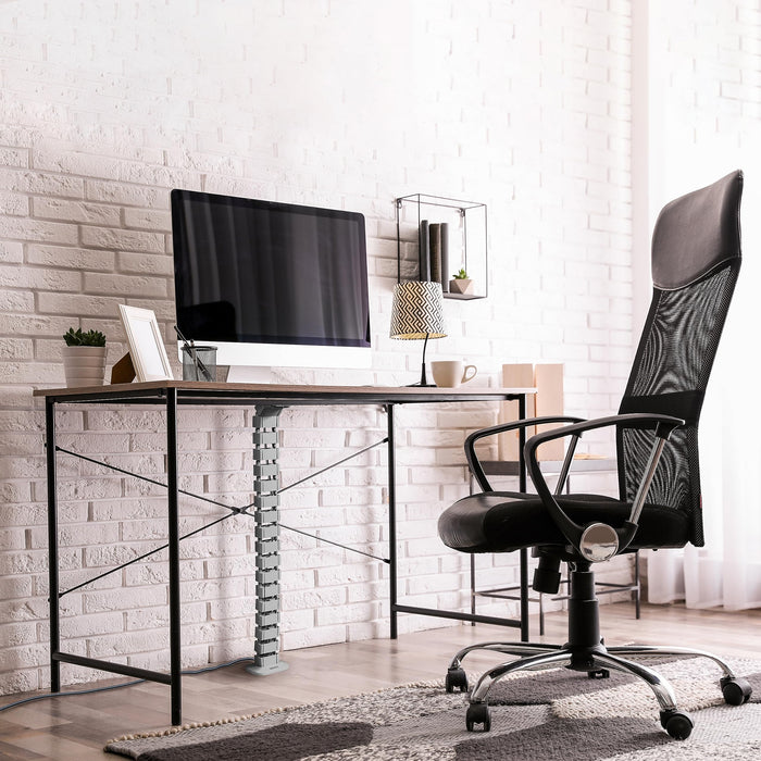 Zoomgoods Cable Management Spine CM1DM SR, Cable Snake for Standing Desk, Wire Tidy for Height-Adjustable Computer Workstations, Four-Channel Organiser for Office Tables, Holds 16+ Leads, 130cm - Silver
