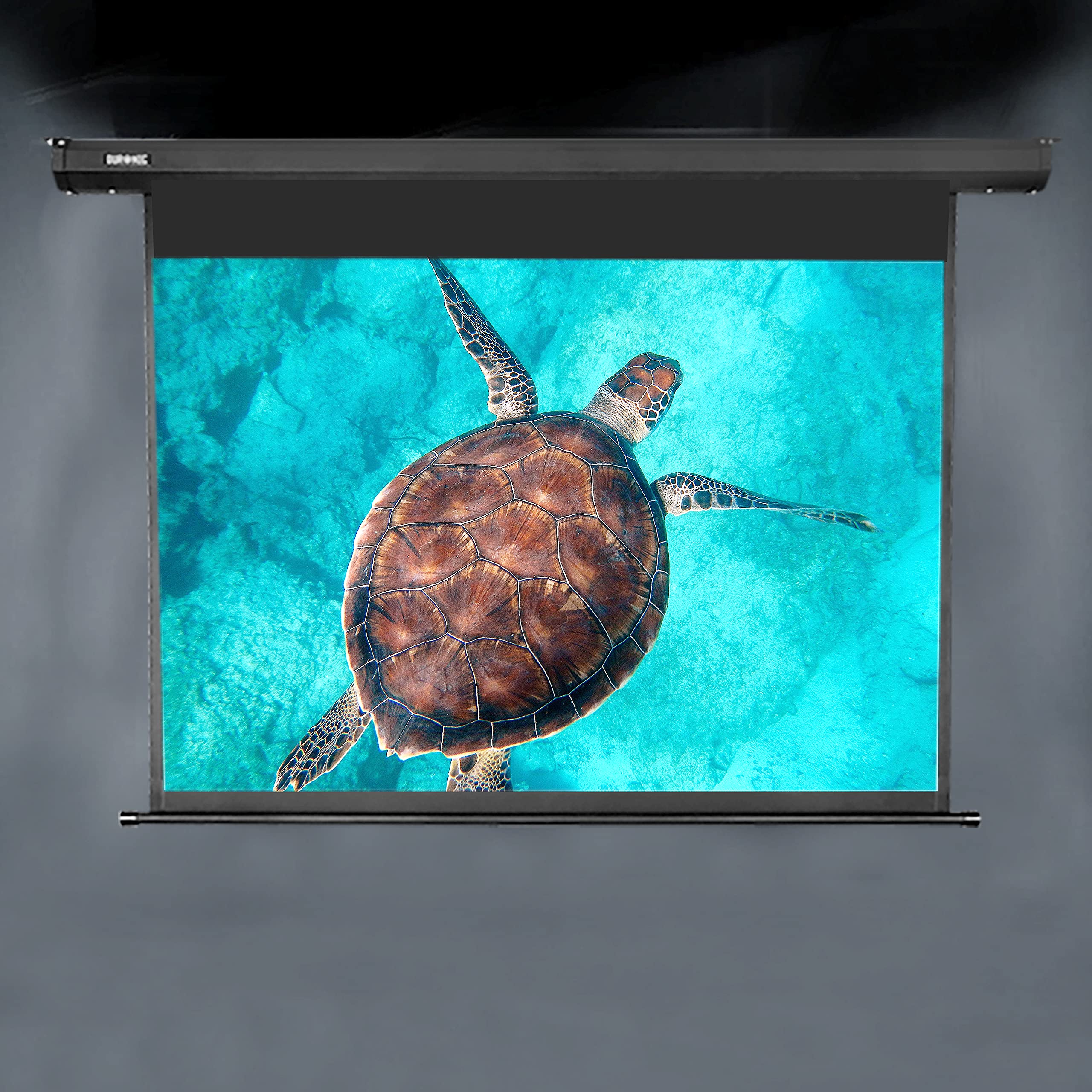 Zoomgoods Electric Projector Screen EPS133 /169 | 133 Inch Screen Size: 295 x 165cm / 116 x 65” 16:9 Ratio Matt White HD High Definition Ceiling Wall Mountable Home Cinema School