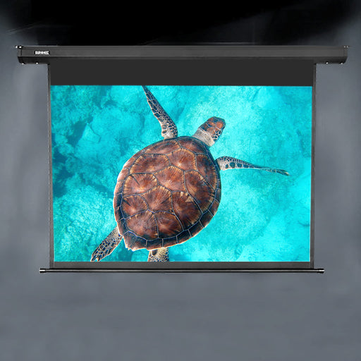 Zoomgoods Electric Projector Screen EPS133 /169 | 133 Inch Screen Size: 295 x 165cm / 116 x 65” 16:9 Ratio Matt White HD High Definition Ceiling Wall Mountable Home Cinema School