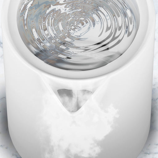 Zoomgoods Electric Kettle with boiling water ripples and steam escaping the spout.